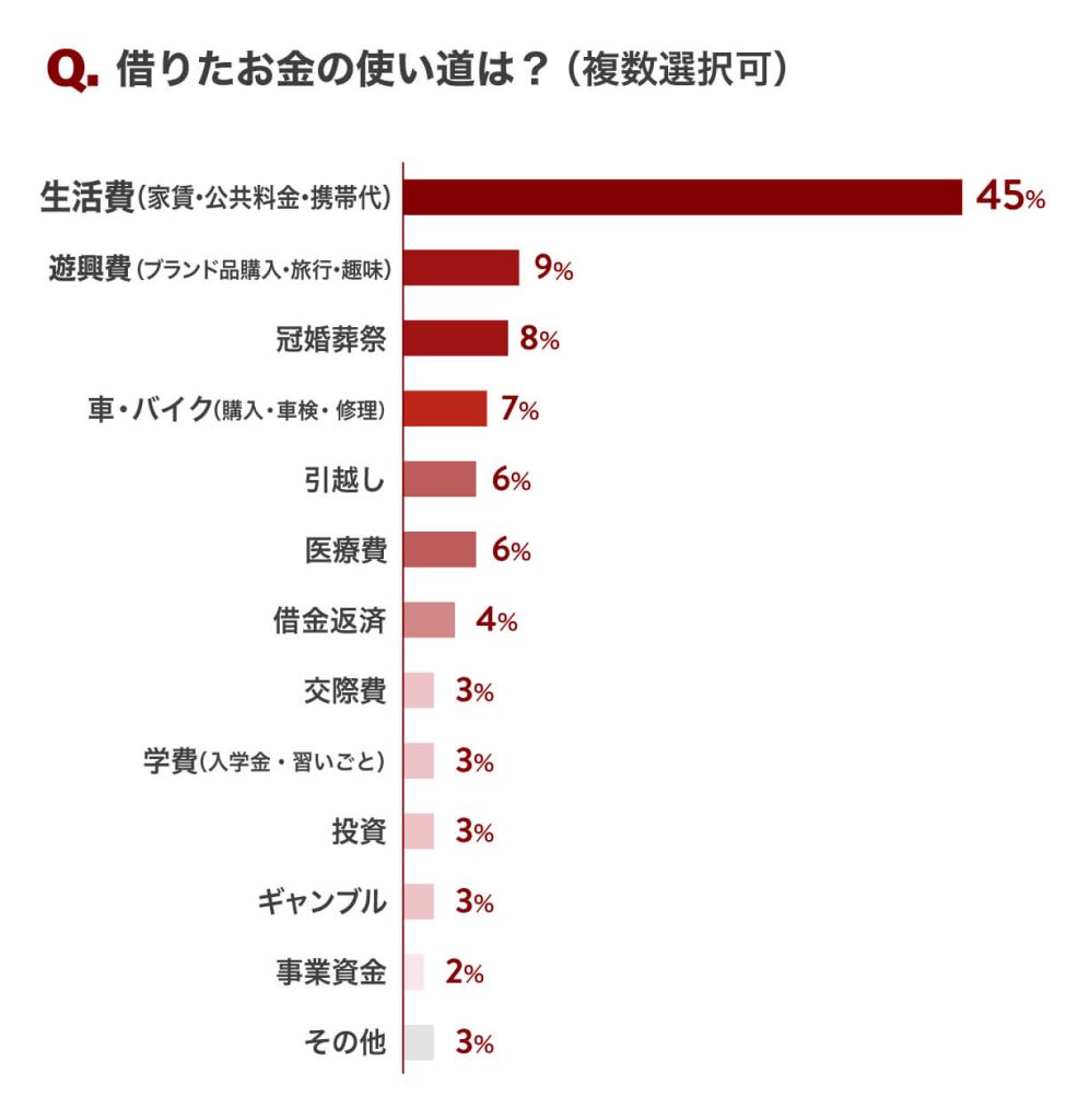 借りたお金の使いみちは？
